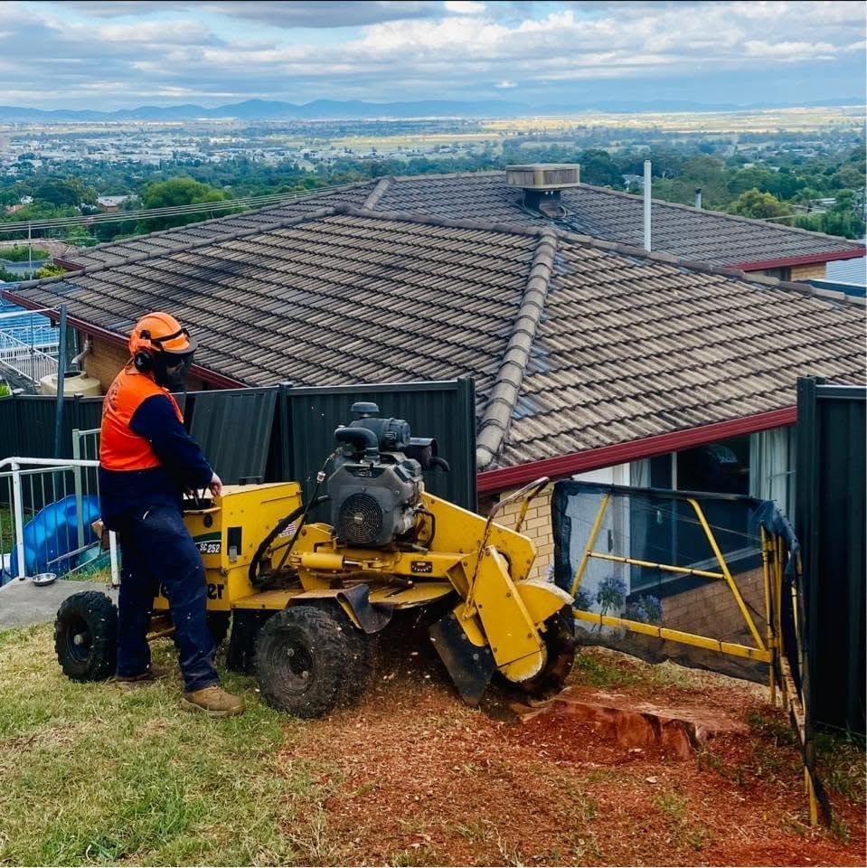 An operator in hi-vis and ear defenders working a stump grinder beside a house