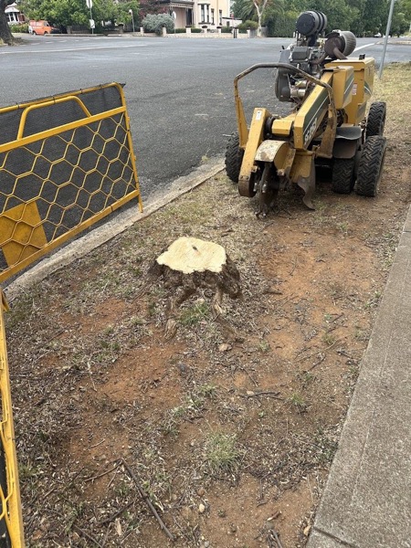 The stump grinder parked on a nature strip beside a cleared patch of ground and a safety barrier