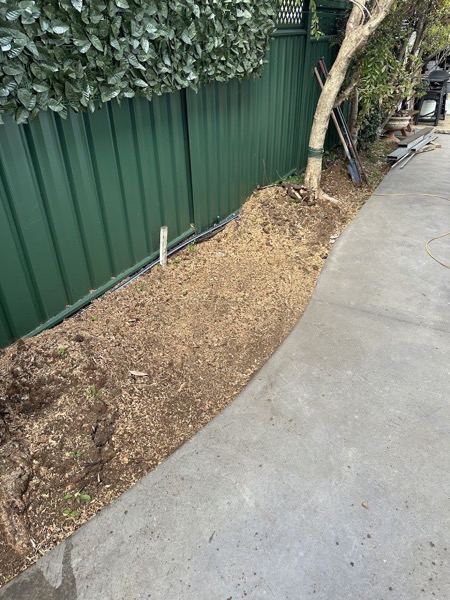 A narrow cleared strip of soil between a Colorbond fence and a concrete path