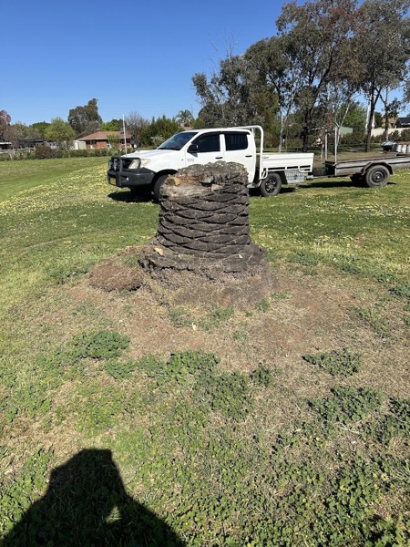 A ute and trailer parked beside a large stump on a grassed block