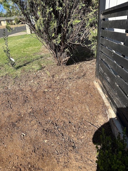 A cleared patch of soil beside a dark timber fence