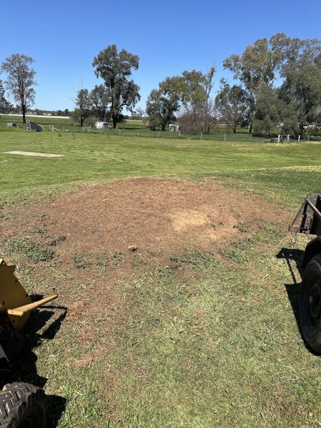 A low mound of mulch in a grassed paddock