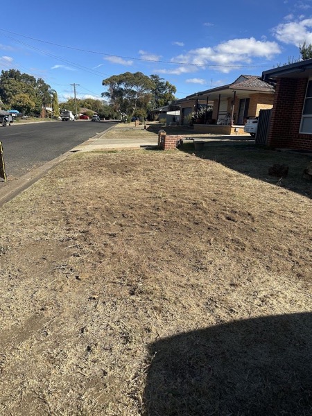 A mulched strip of nature strip beside a suburban street