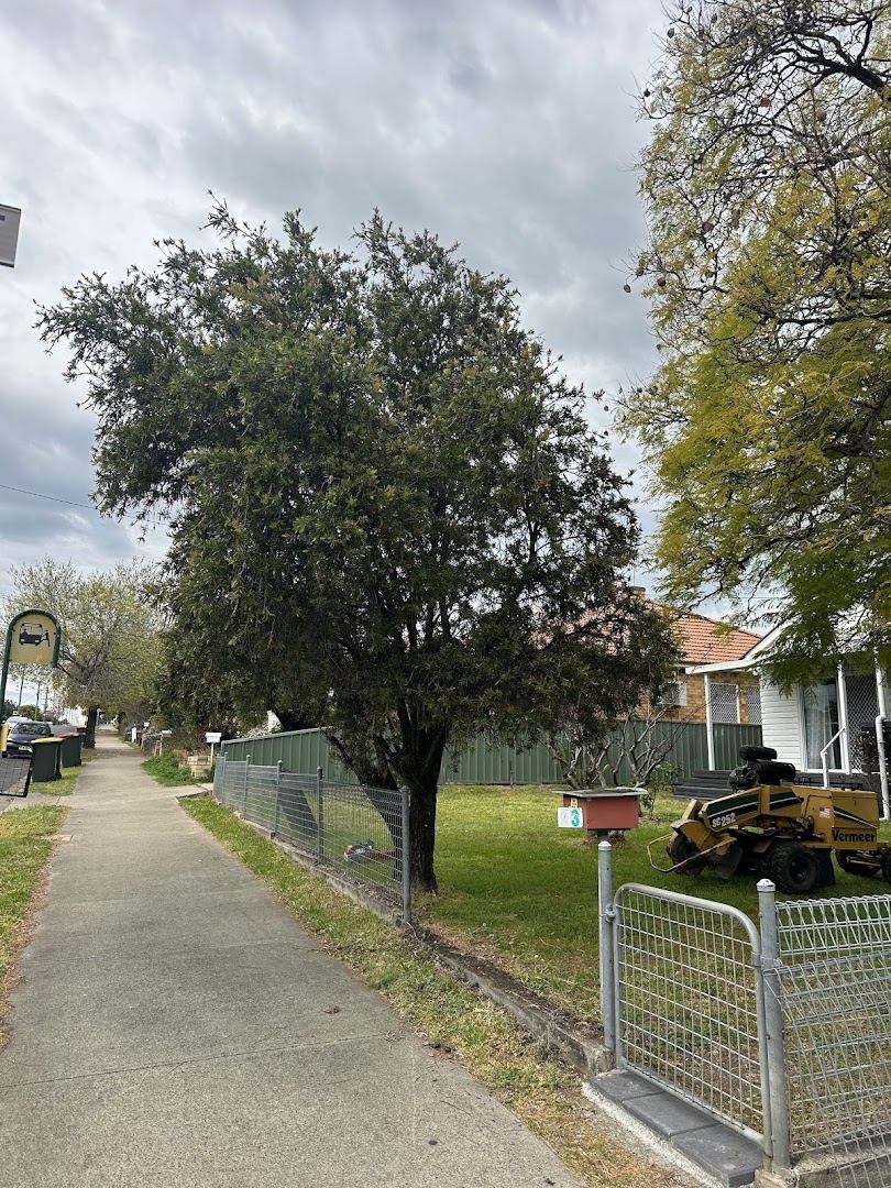 The stump grinder and its trailer parked on a grass verge beside a footpath