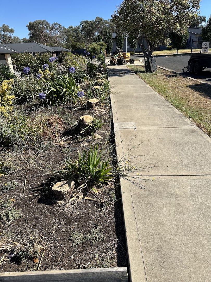 A line of ground-out stumps along a garden bed beside a concrete path