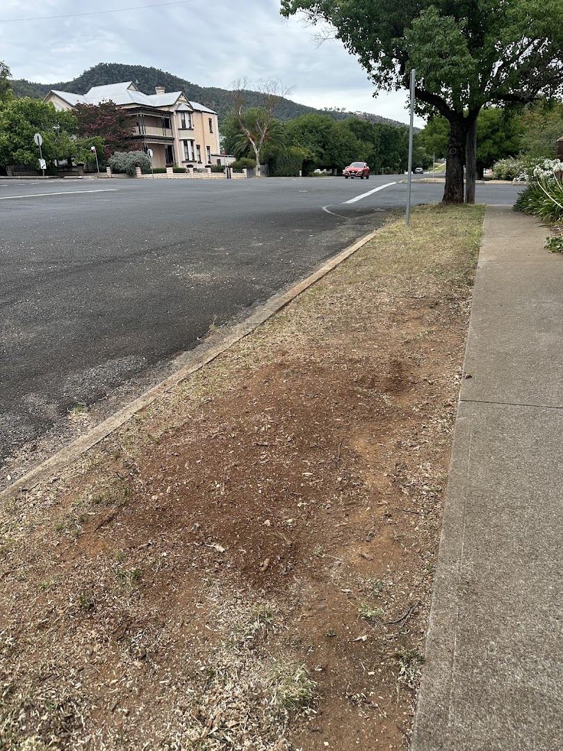 A strip of bare soil along the edge of a road verge