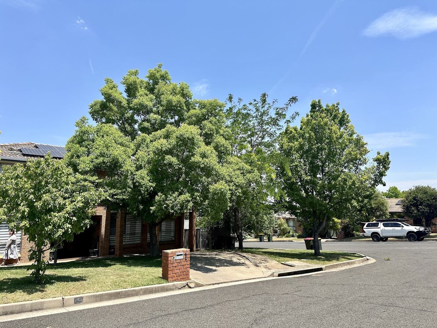 A quiet suburban street lined with mature shade trees and brick homes