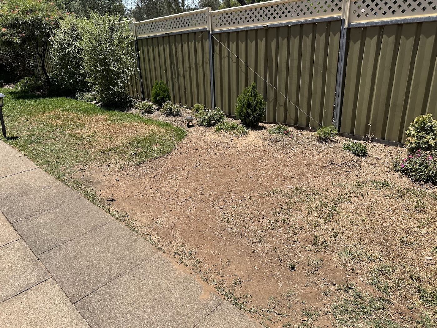 A cleared strip of soil running along the base of a Colorbond fence